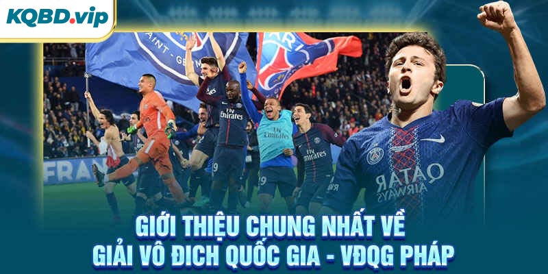 Giới thiệu chung nhất về giải VĐQG Pháp