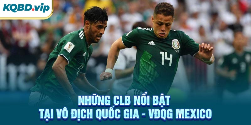 Những CLB nổi bật tại VĐQG Mexico