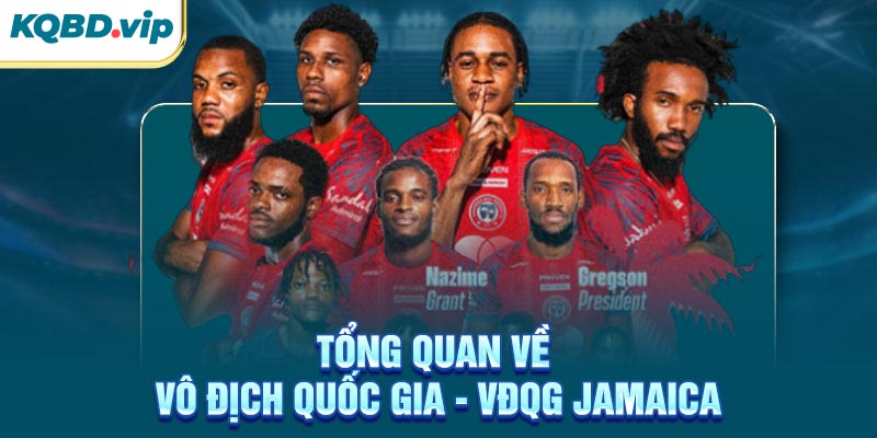 Tổng quan về VĐQG Jamaica
