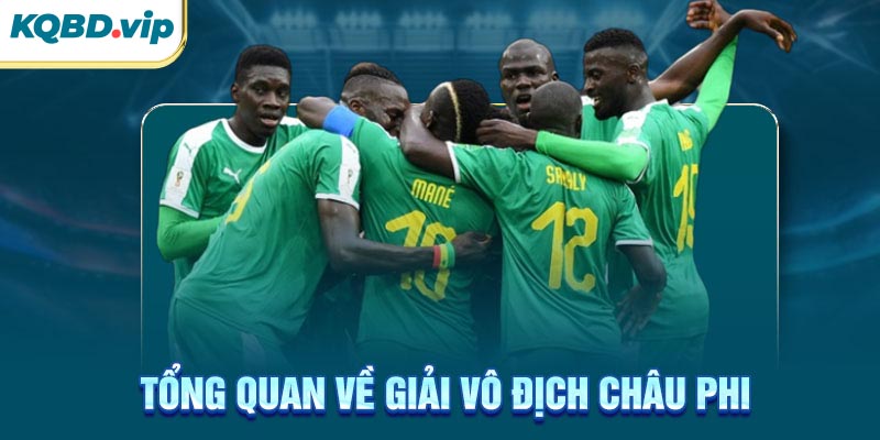 Tổng quan về giải vô địch Châu Phi