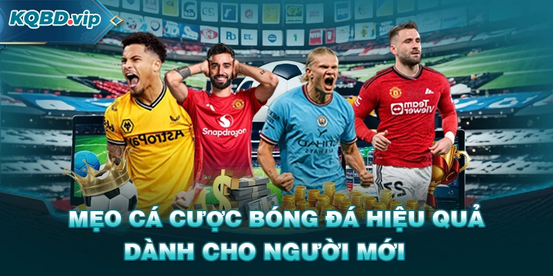 Mẹo cá cược bóng đá hiệu quả dành cho người mới